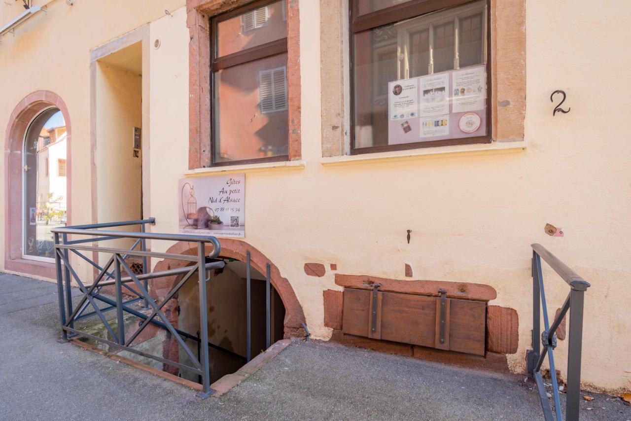 Gite Le Caveau Selestat - 30Min Europapark Kültér fotó